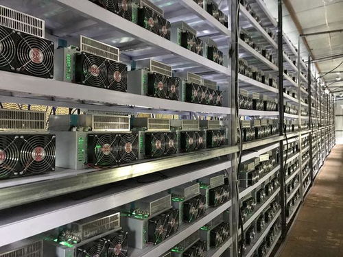 Close-up of a top-tier mining rig setup.